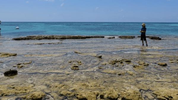 盐度变化威胁着海洋生态系统