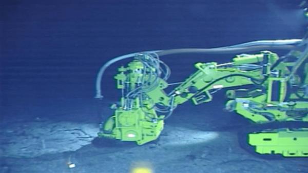 海洋动物在深海采矿作业周围和外部都撤离了